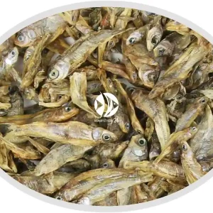 Artemia Koral Stynka suszona 100g - Naturalny pokarm dla dużych ryb mięsożernych, drapieżnych, piranii i żółwi. Bezpieczne zakupy