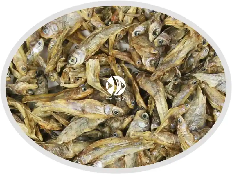 Artemia Koral Stynka suszona 100g - Naturalny pokarm dla dużych ryb mięsożernych, drapieżnych, piranii i żółwi. Bezpieczne zakupy