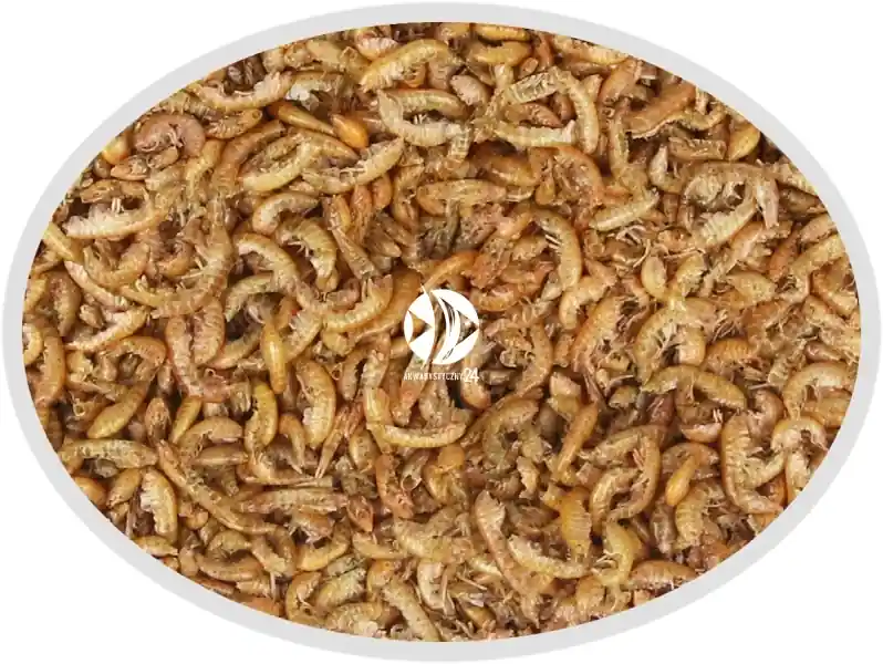 Kup online Artemia Koral Gammarus suszony 100g - Naturalny pokarm dla ryb, żółwi, gadów i ptaków.