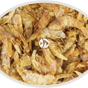 Artemia Koral Krewetka suszona 100g - Naturalny pokarm dla ryb, żółwi, gadów i ptaków. Nowy