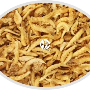 Artemia Koral Kryl Antarktyczny Liofilizowany 30g - Naturalny pokarm dla ryb, żółwi, gadów i ptaków. Ostatnia szansa