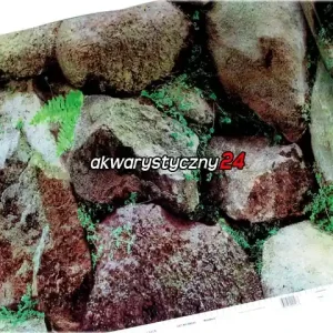 Ekspresowa dostawa PENN PLAX Foto tapeta do akwarium (wysokość 61cm) nr.243 - Tło dwustronne