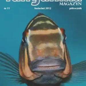 Tanganika Magazyn nr.11 - Półrocznik o biotopie Tanganika. Bestseller