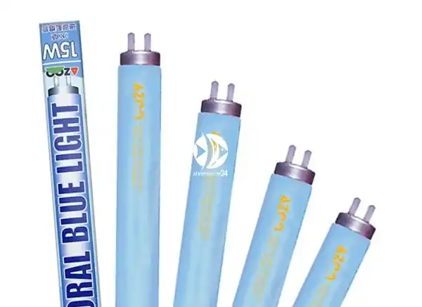 AZOO Coral Blue Light T8 20W (59cm) (AZ20008) - Niebieska, aktyniczna świetlówka podstawowa do akwarium morskiego. Taniej