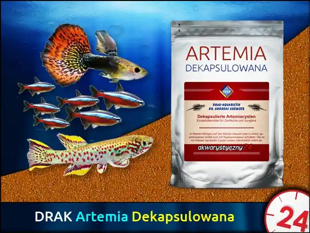 DRAK-aquaristik DECAPSULATED ARTEMIACYSTS 50g - Wysokiej jakości dekapsulowana artemia do bezpośredniego karmienia Promocja