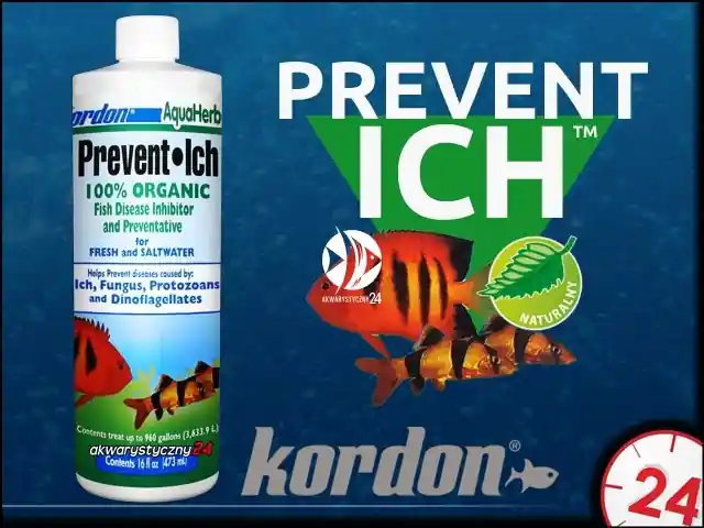 KORDON Prevent Ich 3800ml (39561) - Ziołowy preparat leczniczy na zewnętrzne infekcje skórne Kup teraz