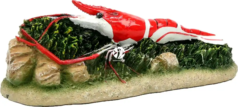 AQUA DELLA Shrimp Red (234-418659) - Ręcznie malowana czerwono-biała krewetka do akwarium Wysoka jakość