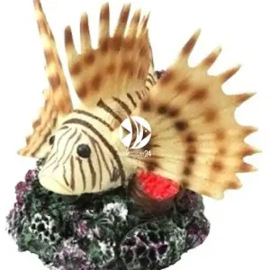 AQUA DELLA Coral Fish (234-418673) - Ręcznie malowana ryba koralowa o wymiarach 10,5x11,5x10,5cm Bezpieczna płatność