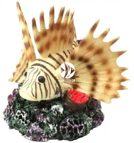 AQUA DELLA Coral Fish (234-418673) - Ręcznie malowana ryba koralowa o wymiarach 10,5x11,5x10,5cm Bezpieczna płatność