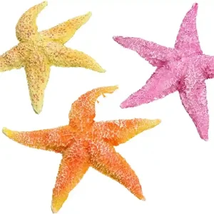 AQUA DELLA Real Sea Star 1szt (234-421000) - Ręcznie malowana gwiazda morska, rozgwiazda do akwarium Cena promocyjna