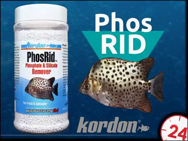 KORDON PHOSRID (39639) - Usuwa fosforany i krzemiany z wody morskiej i słodkiej Okazja