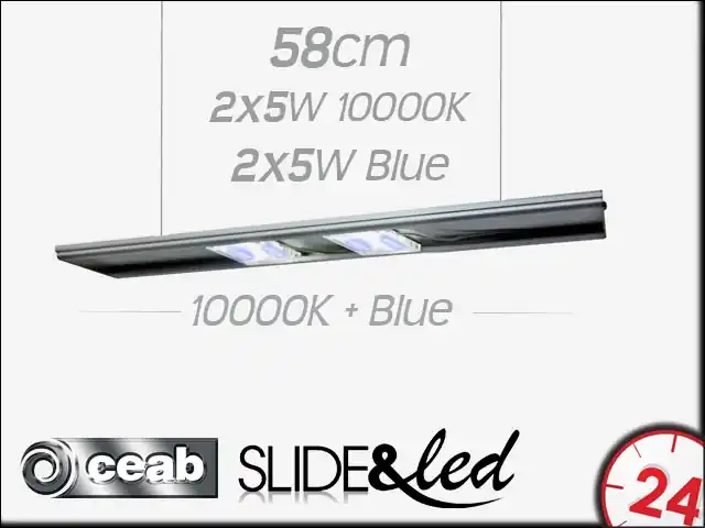 CEAB SLIDE&Led 10000K+Blue 2X5W+2X5W 58cm (SLMD60) - Energooszczędne, modułowe oświetlenie Led do akwarium morskiego i słodkowodnego. Szybka wysyłka