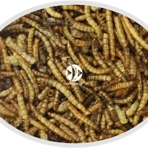 Artemia Koral Larwa mącznika suszona 100g - Pokarm naturalny dla ryb, żółwi, gadów i ptaków. Kup online