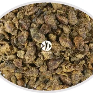Artemia Koral Larwa jedwabnika suszona 100g - Pokarm naturalny dla ryb, żółwi, gadów i ptaków. Ostatnie sztuki