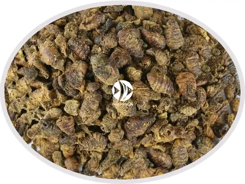 Artemia Koral Larwa jedwabnika suszona 100g - Pokarm naturalny dla ryb, żółwi, gadów i ptaków. Ostatnie sztuki