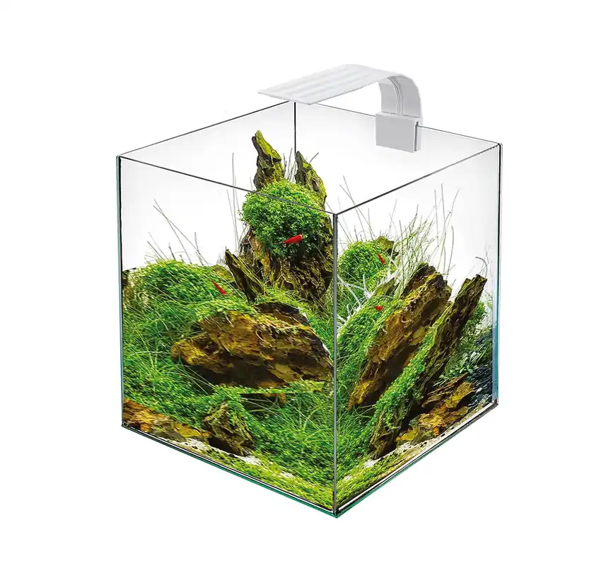 Ekspresowa dostawa LED CUBE 25 White