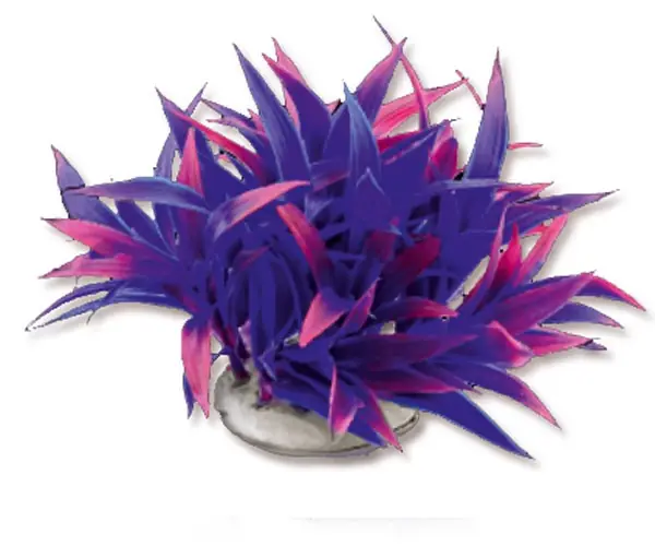Oferta Roślina folia 10cm 1f25 Happet