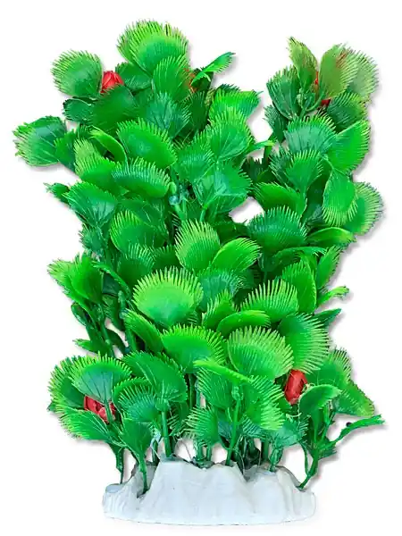 Roślina folia 20cm 2f20 Happet Hit cenowy