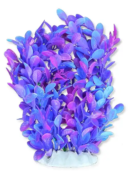 Wyprzedaż Roślina folia 20cm 2f25 Happet
