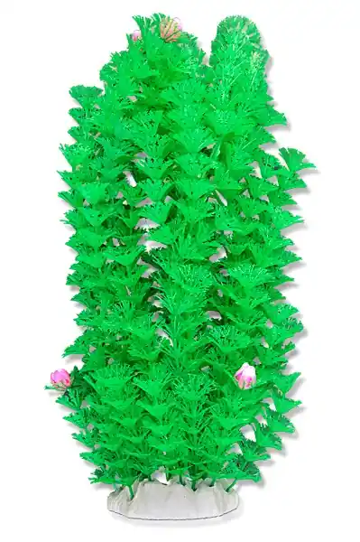 Popularny Roślina folia 40cm 4f33 Happet