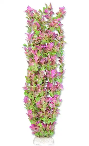 Roślina folia 65cm 6f36 Happet Darmowy zwrot