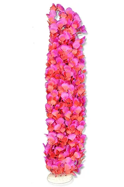Cena promocyjna Roślina folia 65cm 6f39 Happet