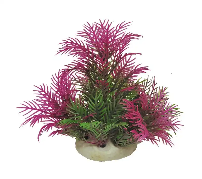 Roślina folia Happet 0F01 mix fioletowo-zielona Tylko do końca tygodnia