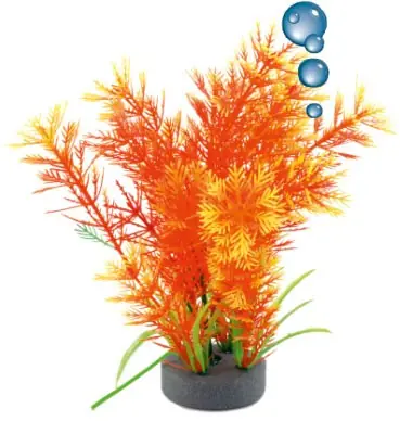 Dostępne od ręki Roślina folia Happet 0F14 mix pomarańczowa