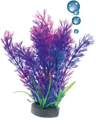 Roślina folia Happet 0F15 mix fioletowa Zamów teraz