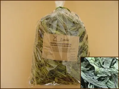 Zuzala babka lancetowata suszona 150g Promocja