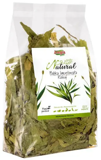 Ostatnia szansa Alegia Babka lancetowata 100g
